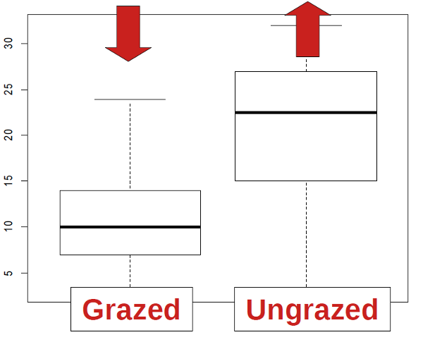 Box-plot comparing the abundances of Apoidea of the genus Bombus, monitored by the linear transect method, in grazed (outside the exclusion fence) and ungrazed (inside the exclusion fence) areas. The abundance of individuals is higher in the ungrazed areas.