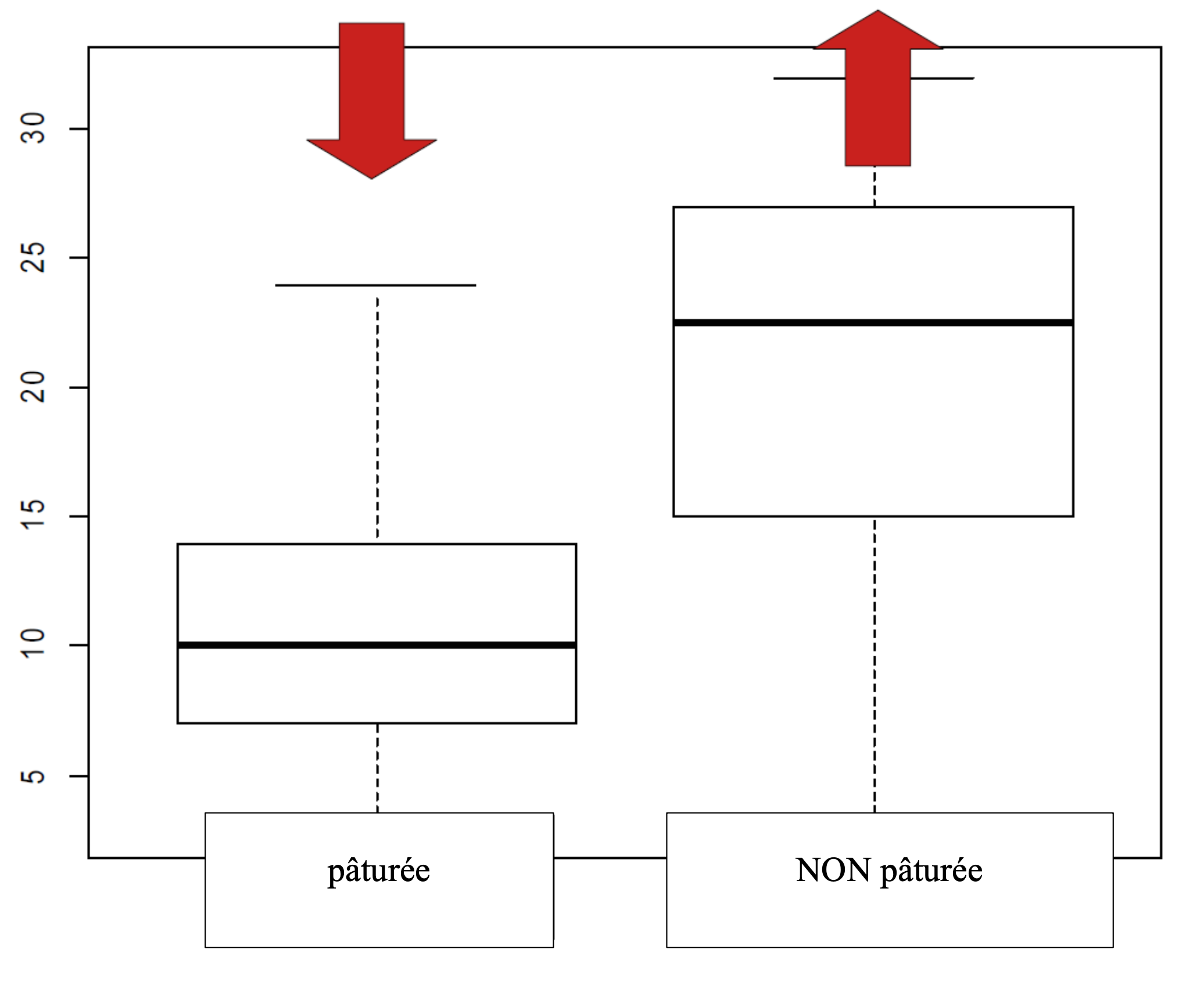 Box-plot comparant les abondances d'Apoidea du genre Bombus, suivies par la méthode du transect linéaire, dans les zones pâturées (à l'extérieur de la clôture d'exclusion) et non pâturées (à l'intérieur de la clôture d'exclusion). L'abondance des individus est plus élevée dans les zones non pâturées.