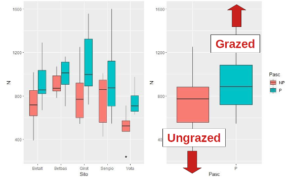 Box-plots comparing the abundances of insects caught with the emergence trap method in grazed (outside the exclusion fence) and ungrazed (inside the exclusion fence) areas. On the left divided by survey sub-area, on the right summarising the entire study area. In grazed areas, abundance is higher than in non-grazed areas.