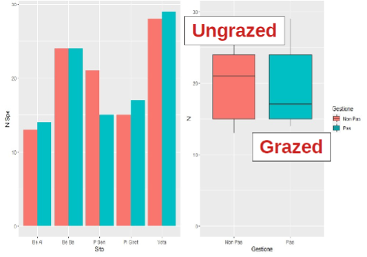 Graphs comparing the number of species of insects caught with the emergence trap method, in grazed areas (outside the exclusion fence) and non-grazed areas (inside the exclusion fence). On the left histogram representing the number of species divided by study sub-area, on the right the boxplot summarising the whole area. There is no significant difference between inside and outside the fence.