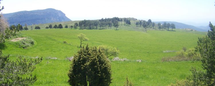 Nouvelle activité de réseautage avec le projet PASTUCAR