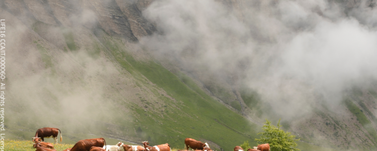 International Mountain Day: PASTORALP tra le migliori pratiche segnalate da CINEA