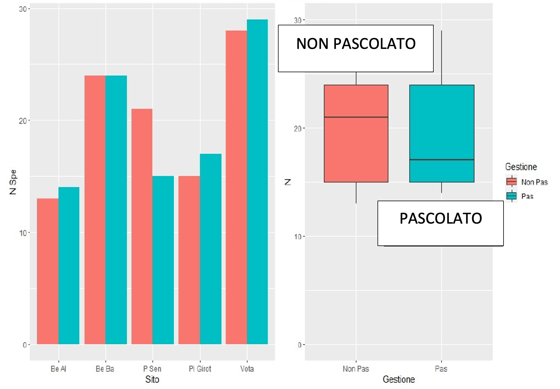 Grafici che mettono a confronto il numero di specie degli insetti catturati col metodo delle trappole ad emergenza, nelle aree pascolate (fuori recinto di esclusione) e quelle non pascolate (dentro al recinto di esclusione). A sinistra istogramma che rappresenta il numero di specie divise per sottoarea di studio, a destra il boxplot riassuntivo di tutta l’area. Non c’è nessuna differenza significativa tra dentro e fuori recinto.