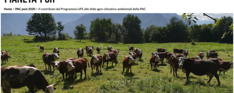 Il progetto LIFE-PASTORALP su Pianeta PSR