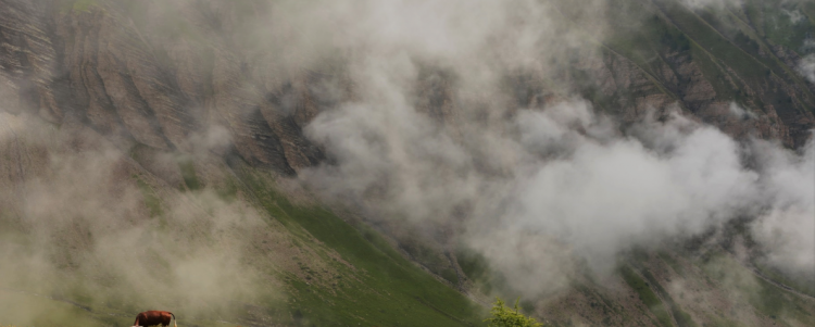 Le After-LIFE Plan du projet PASTORALP est prêt